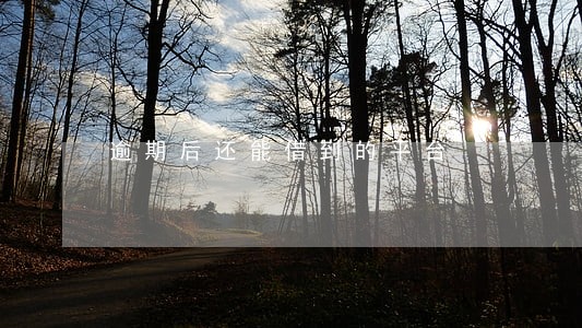 逾期后还能借到的平台 逾期后还能借到的平台