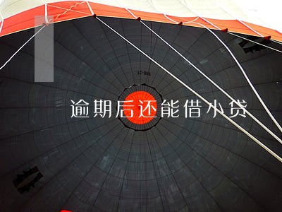 逾期后还能借小贷