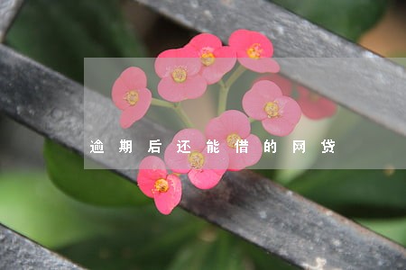 逾期后还能借的网贷 逾期后还能借的网贷