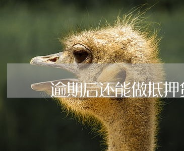 逾期后还能做抵押贷吗 逾期后还能做抵押贷吗