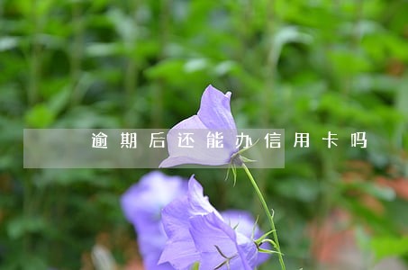 逾期后还能办信用卡吗 逾期后还能办信用卡吗