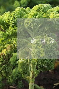 逾期后还能办理车贷吗 逾期后还能办理车贷吗