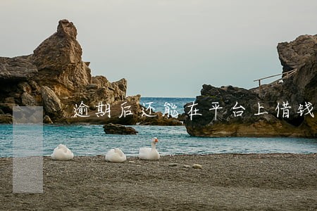 逾期后还能在平台上借钱吗 逾期后还能在平台上借钱吗