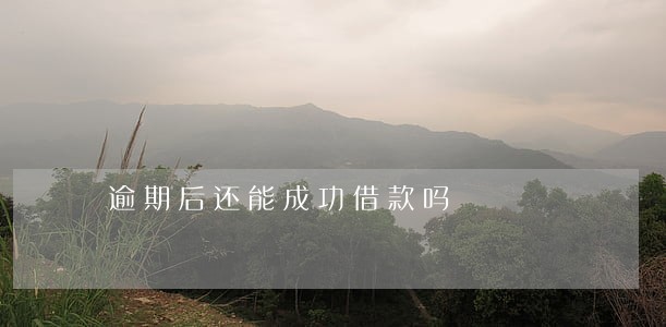 逾期后还能成功借款吗 逾期后还能成功借款吗