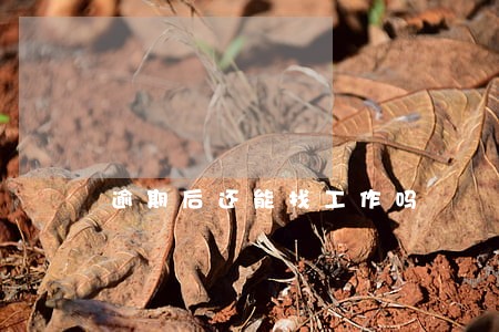 逾期后还能找工作吗 逾期后还能找工作吗