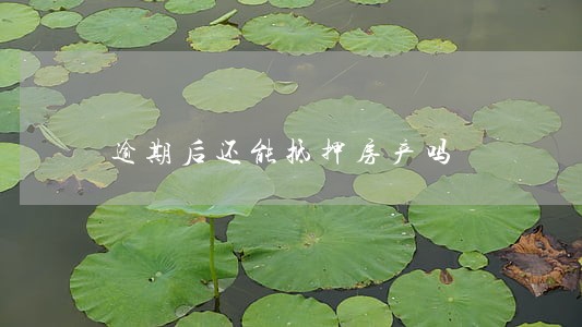 逾期后还能抵押房产吗 逾期后还能抵押房产吗