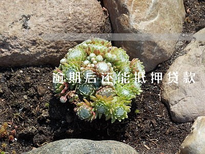 逾期后还能抵押贷款 逾期后还能抵押贷款