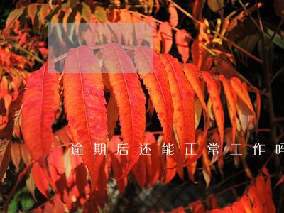 逾期后还能正常工作吗 逾期后还能正常工作吗