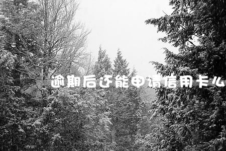 逾期后还能申请信用卡么 逾期后还能申请信用卡么