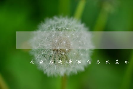 逾期后还请征信怎么显示 逾期后还请征信怎么显示