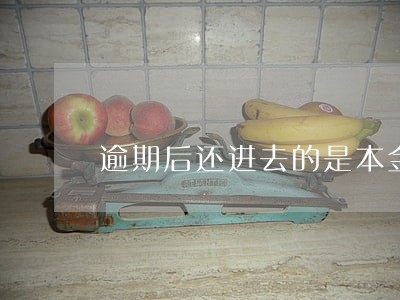逾期后还进去的是本金还是其他 逾期后还进去的是本金还是其他