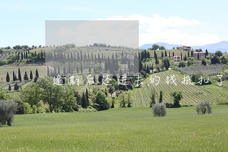 逾期后还进去的钱抵扣了利息 逾期后还进去的钱抵扣了利息