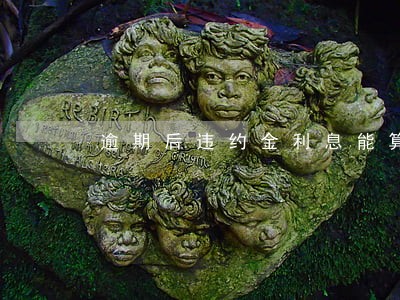 逾期后违约金利息能算入本金吗 逾期后违约金利息能算入本金吗