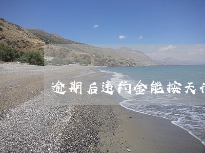 逾期后违约金能按天计算吗 逾期后违约金能按天计算吗