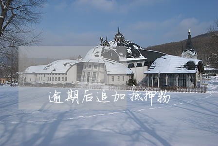逾期后追加抵押物