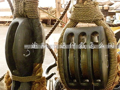 逾期后送仲裁怎么回事 逾期后送仲裁怎么回事