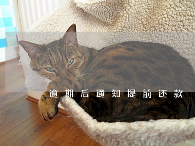 逾期后通知提前还款 逾期后通知提前还款