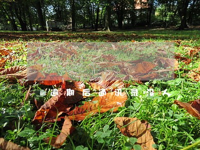 逾期后通讯录没人 逾期后通讯录没人