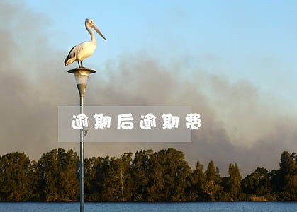 逾期后逾期费 逾期后逾期费