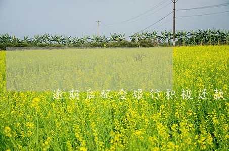 逾期后配合银行积极还款 逾期后配合银行积极还款