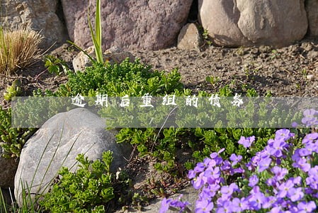 逾期后重组的债务 逾期后重组的债务