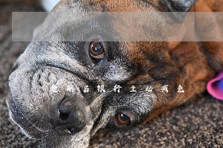 逾期后银行主动减免 逾期后银行主动减免