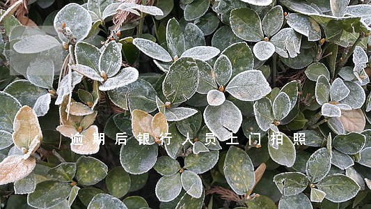 逾期后银行人员上门拍照
