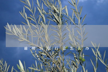 逾期后银行会怎么办 逾期后银行会怎么办