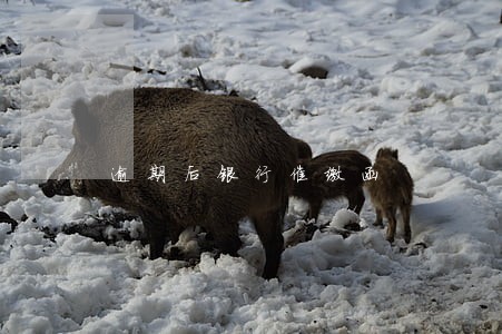 逾期后银行催缴函 逾期后银行催缴函