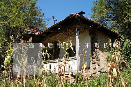 逾期后银行卡不扣钱吗 逾期后银行卡不扣钱吗