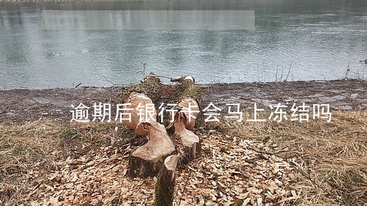 逾期后银行卡会马上冻结吗 逾期后银行卡会马上冻结吗