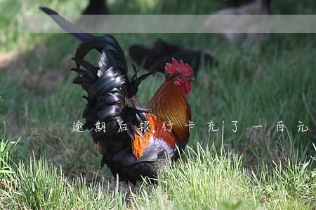 逾期后银行卡充了一百元会被扣吗 逾期后银行卡充了一百元会被扣吗