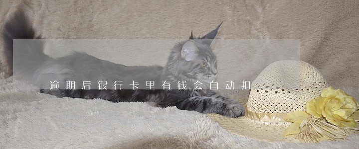 逾期后银行卡里有钱会自动扣 逾期后银行卡里有钱会自动扣