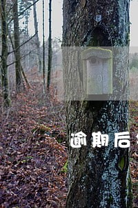 逾期后银行可以到家里来找吗 逾期后银行可以到家里来找吗