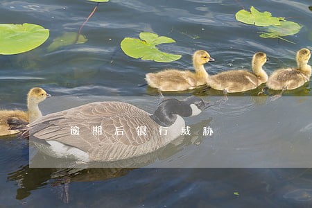 逾期后银行威胁