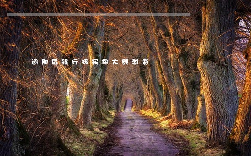 逾期后银行核实你大额消费 逾期后银行核实你大额消费