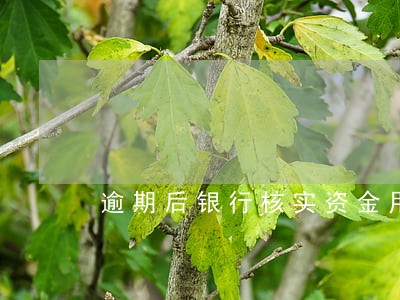 逾期后银行核实资金用途 逾期后银行核实资金用途