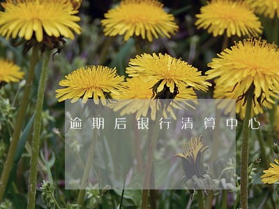 逾期后银行清算中心 逾期后银行清算中心