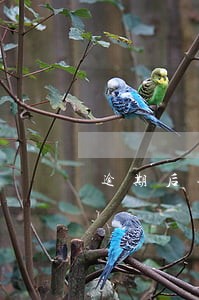 逾期后银行让交的诚意金