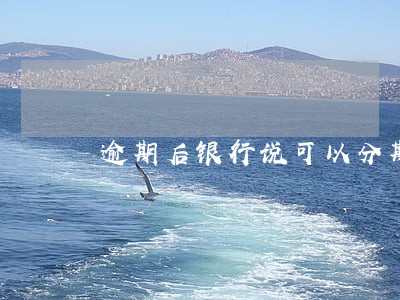 逾期后银行说可以分期 逾期后银行说可以分期