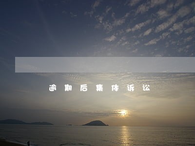逾期后集体诉讼