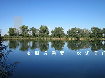 逾期后需要一次还清吗