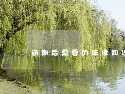逾期后需要的法律知识