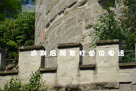 逾期后频繁打单位电话