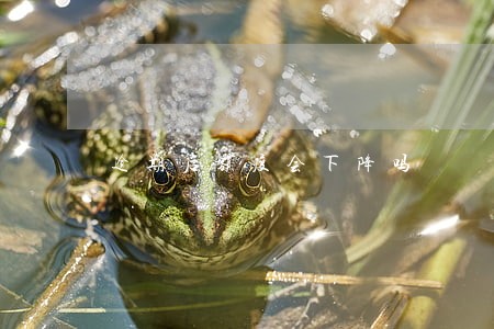 逾期后额度会下降吗