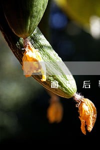 逾期后骚扰紧急联系人