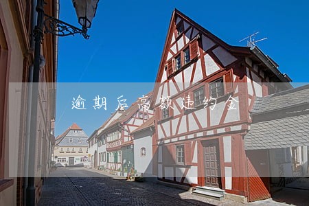 逾期后高额违约金 逾期后高额违约金