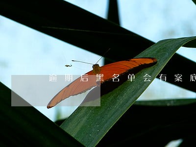逾期后黑名单会有案底吗 逾期后黑名单会有案底吗