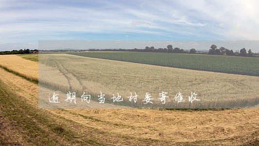 逾期向当地村委寄催收 逾期向当地村委寄催收