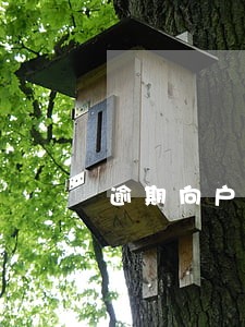 逾期向户籍地申请立案是真是假 逾期向户籍地申请立案是真是假